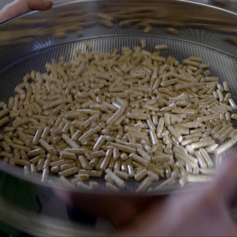 Pellets aus dem größten Produktionsstandort Europas